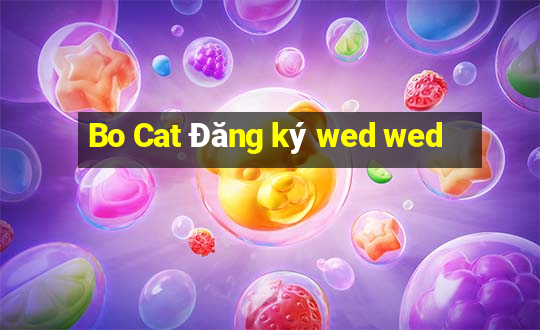 Bo Cat Đăng ký wed wed