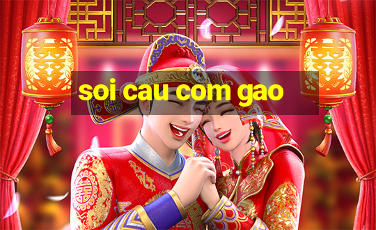 soi cau com gao