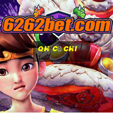 qh củ chi