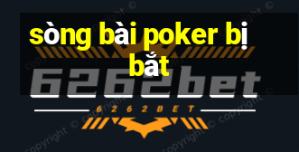 sòng bài poker bị bắt