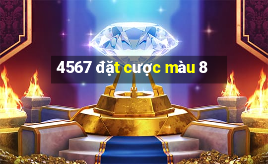 4567 đặt cược màu 8