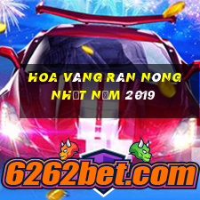 Hoa vàng rán nóng nhất năm 2019