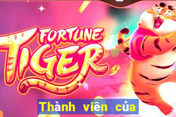 Thành viên của Bit Fu giải trí