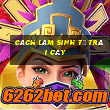 cách làm sinh tố trái cây