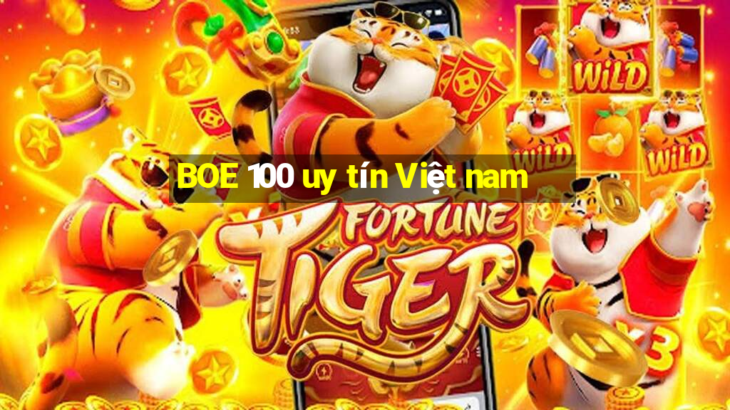 BOE 100 uy tín Việt nam