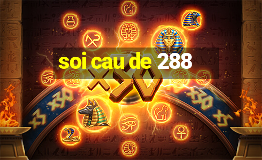 soi cau de 288