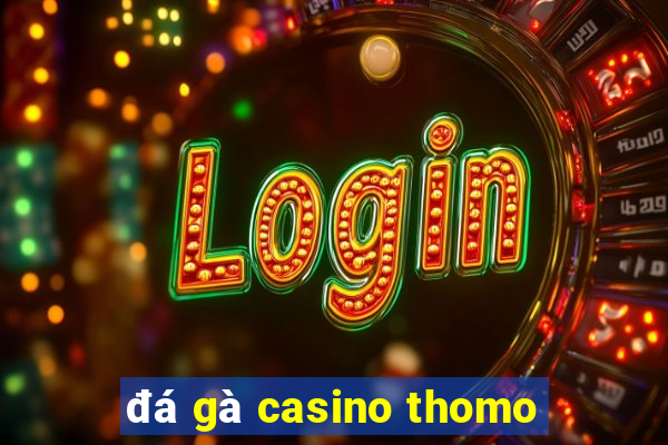 đá gà casino thomo