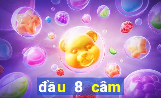 đầu 8 câm đánh con gì