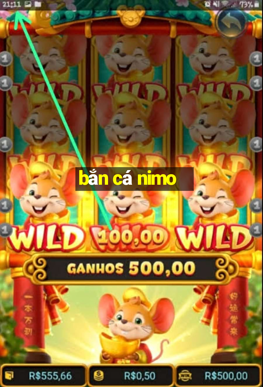 bắn cá nimo