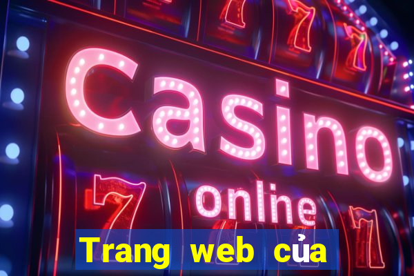 Trang web của Color 81