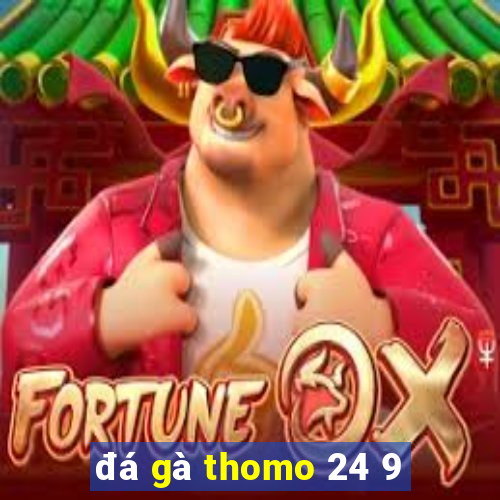 đá gà thomo 24 9