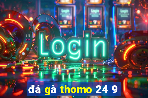 đá gà thomo 24 9