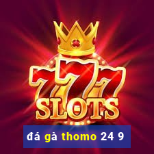 đá gà thomo 24 9