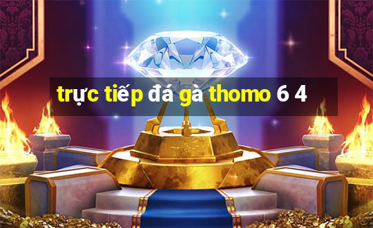 trực tiếp đá gà thomo 6 4