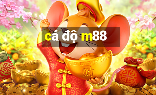 cá độ m88