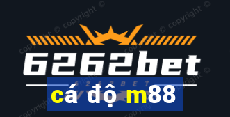 cá độ m88