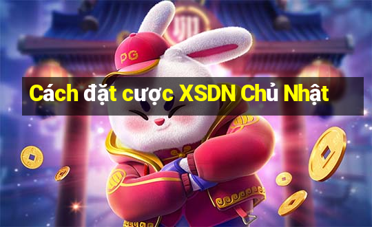 Cách đặt cược XSDN Chủ Nhật