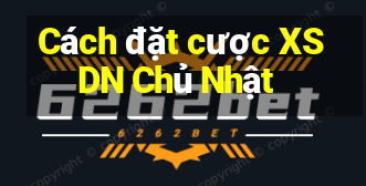 Cách đặt cược XSDN Chủ Nhật