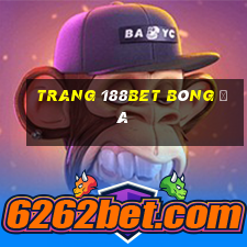 trang 188bet bóng đá