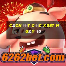 Cách đặt cược XSST ngày 16