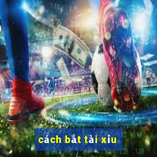 cách bắt tài xỉu