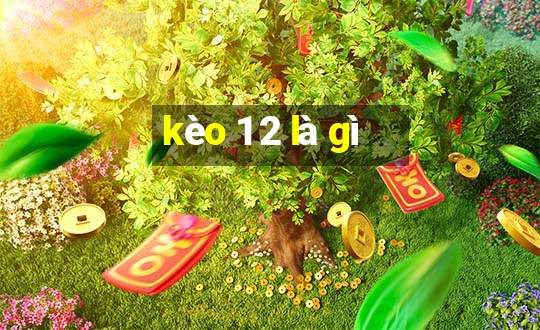 kèo 1 2 là gì