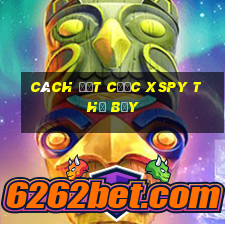 Cách đặt cược XSPY thứ bảy