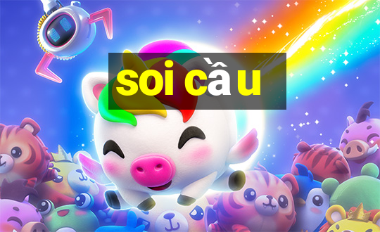 soi cau