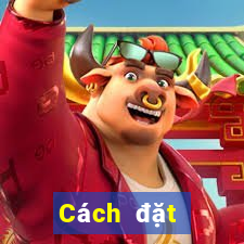 Cách đặt cược XSTTH ngày 26