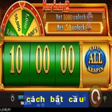 cách bắt cầu bệt baccarat