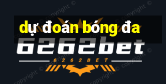 dự đoán bóng đa