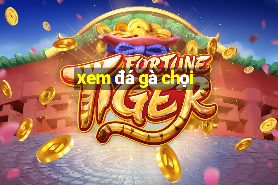 xem đá gà chọi