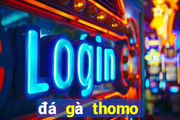 đá gà thomo trực tiếp hôm nay gà đòn