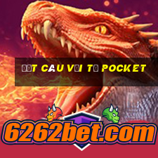 Đặt câu với từ pocket