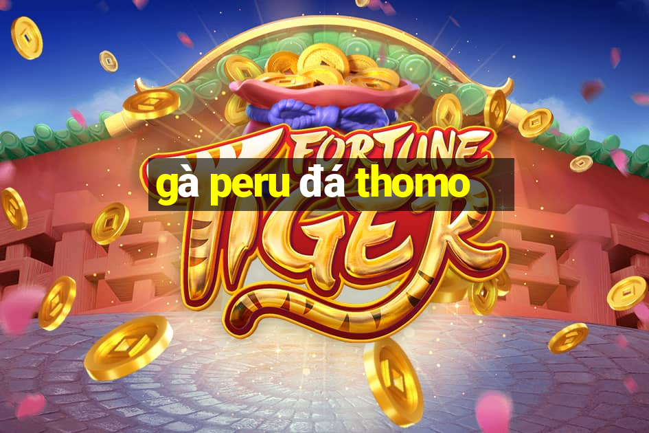 gà peru đá thomo