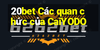 20bet Các quan chức của CaiYODO