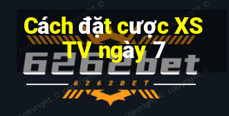 Cách đặt cược XSTV ngày 7