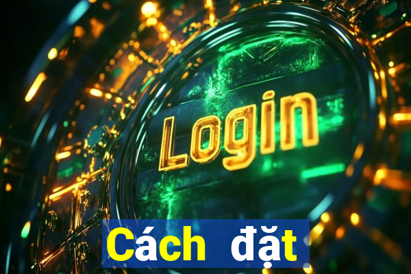 Cách đặt cược XSTV ngày 7