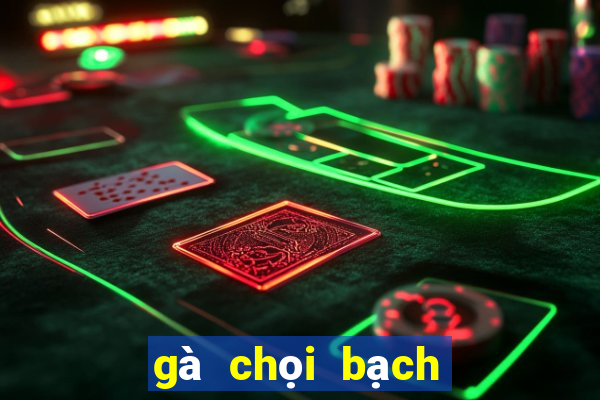 gà chọi bạch đầu hổ