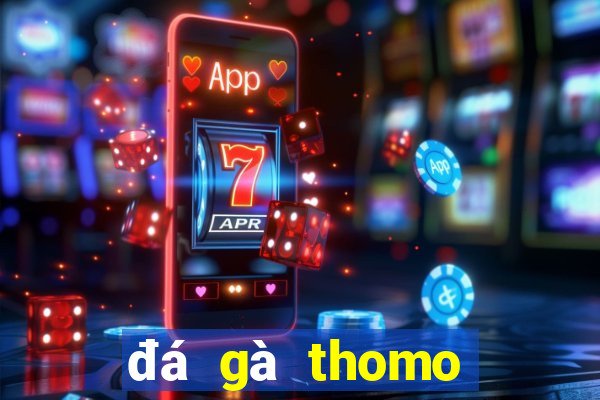 đá gà thomo trực tiếp