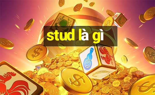 stud là gì