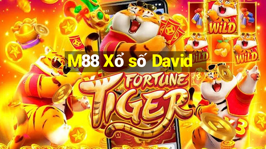 M88 Xổ số David