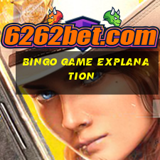 bingo game explanation