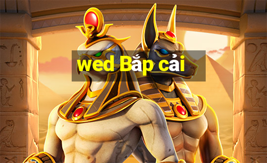 wed Bắp cải