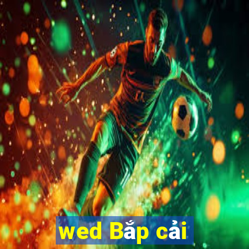 wed Bắp cải