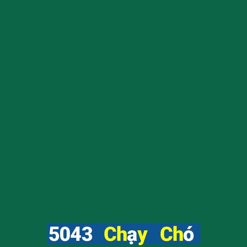 5043 Chạy Chó Net 2020