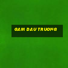 gam dau truong