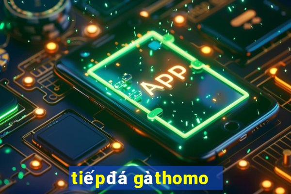 tiếp đá gà thomo