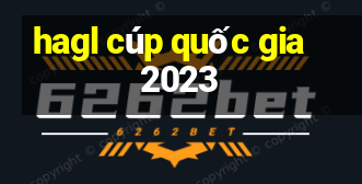 hagl cúp quốc gia 2023