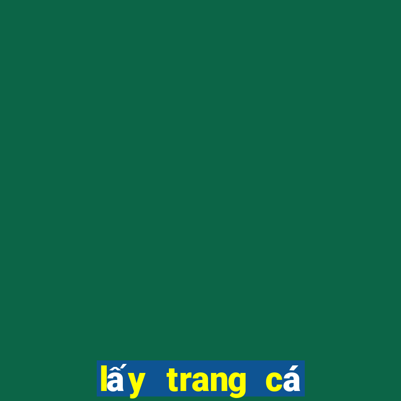 lấy trang cá độ bóng đá